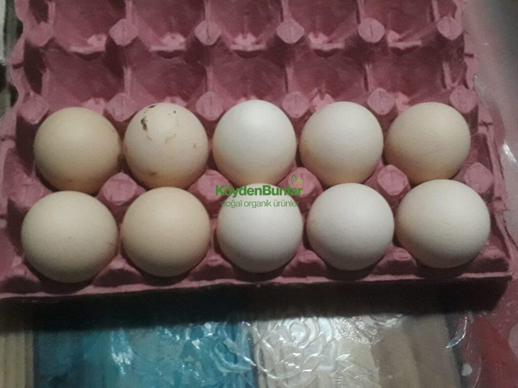10’Lu Büyük Boy Köy Yumurtası