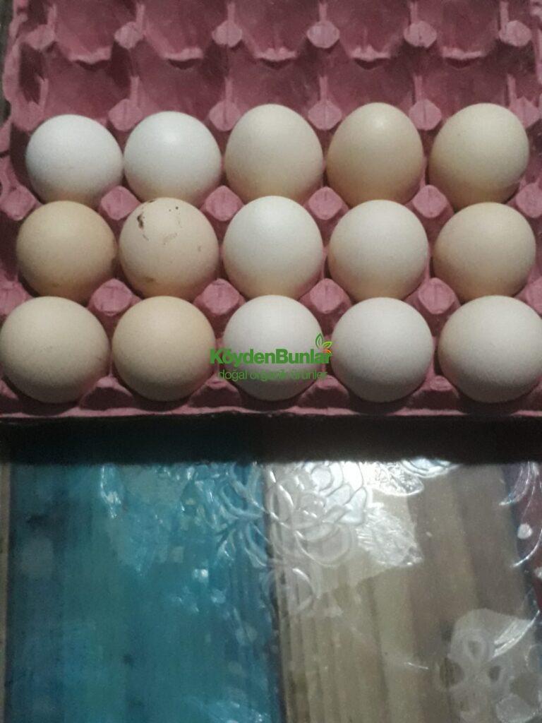 15’li Büyük Boy Köy Yumurtası