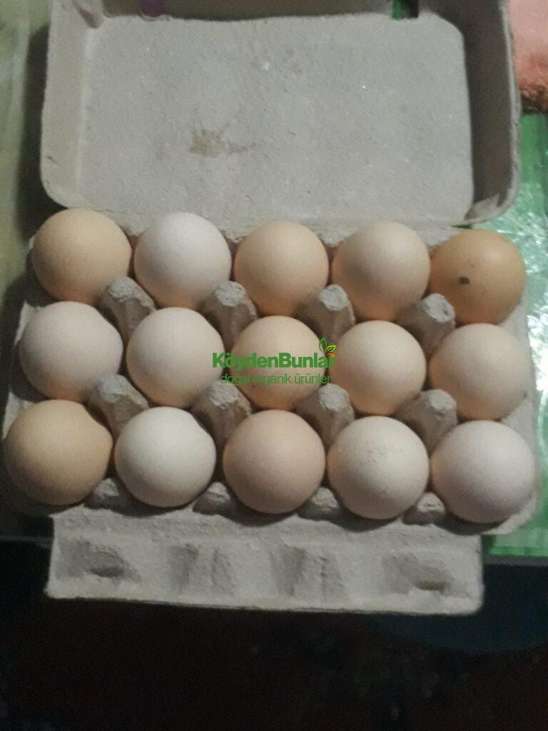 15’li Duble Köy Yumurtası