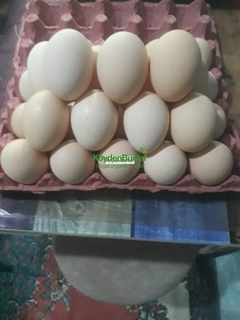 30’lu Büyük Boy Organik Köy Yumurtası