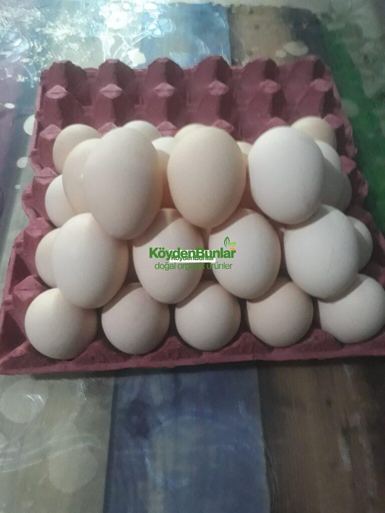 30’lu Duble Boy Organik Köy Yumurtası