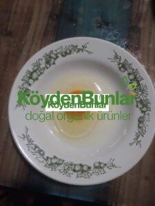 Duble Boy Organik Köy Yumurtası