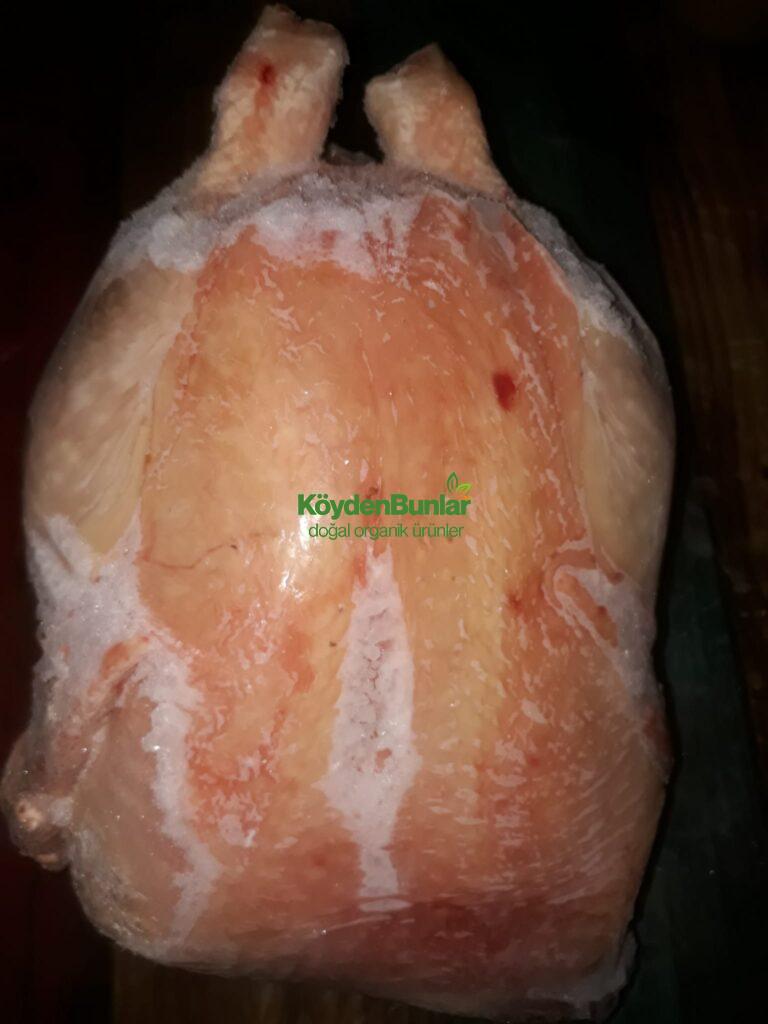 Kesilmiş Köy Horozu