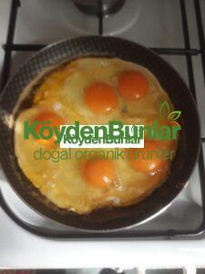 10'Lu Duble Köy Yumurtası